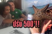 ไม่รอด! ปรับ 500 บาท ลูกจ้างเรือ ดำน้ำลงไปจับปลาดาว มาให้นักท่องเที่ยวถ่ายรูป