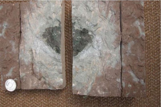 ตะลึงทั้งโลก!! พบแผ่นหินประหลาดในเหมืองหินปูน ว่ากันว่ามันเป็นของต่างดาว?? 