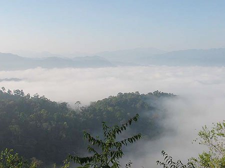 ลำปางเย็นยะเยือกผู้ประกอบการรถม้า สุมไฟคลายหนาวให้ม้า