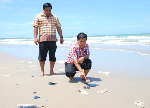 พบน้ำมันลอยหาดแม่รำพึงระยองห้ามลงเล่น