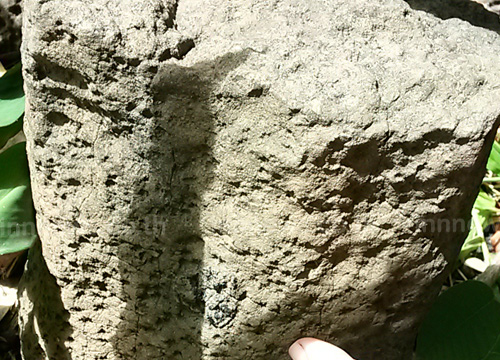 แห่ขุดพลอยม่อนหินล้านปีแพร่จ่อพัฒนาแหล่งเที่ยว