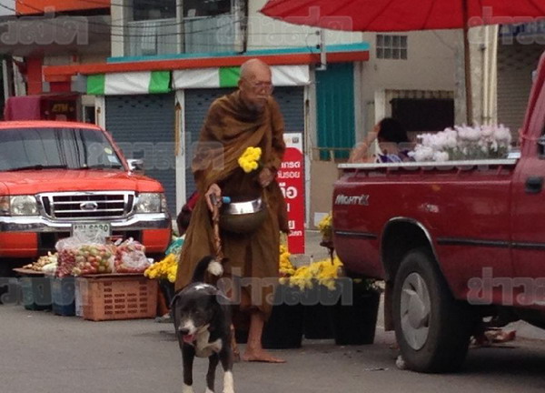 ทึ่งหมาแสนรู้! อารักขาหลวงตาบิณฑบาต สนิทสนมญาติโยม