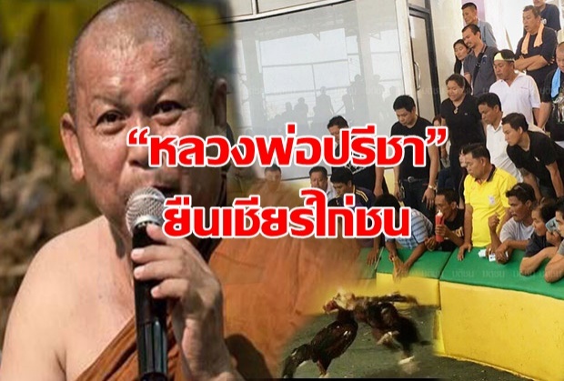 เจอตัวแล้ว! “หลวงพ่อปรีชา” เป็นฆราวาสยืนเชียร์ไก่ชน ท้าชนแข่ง