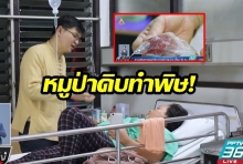 หมูป่าดิบทำพิษ!  หามส่งชาวม้ง นับ 10 คน “ส่งโรงพยาบาล”