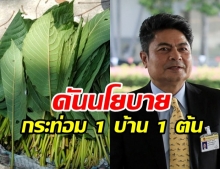 ‘เทพไท’ เปรี้ยว! เสนอบรรจุพืชกระท่อม นโยบายรัฐบาลเหมือนกัญชา 1 บ้านต่อ 1 ต้น (คลิป)