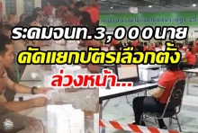 ไปรษณีย์ไทยระดมจนท. 3,000 นาย พร้อมคัดแยกบัตรเลือกตั้งล่วงหน้าจัดส่ง350เขตปลายทาง