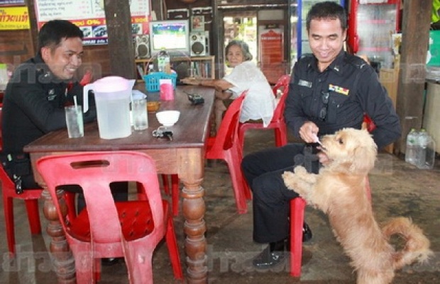 ฮือฮา! สุนัขแสนรู้ช่วยเจ้าของร้านอาหาร เก็บ-ทอนเงิน (ชมคลิป) 