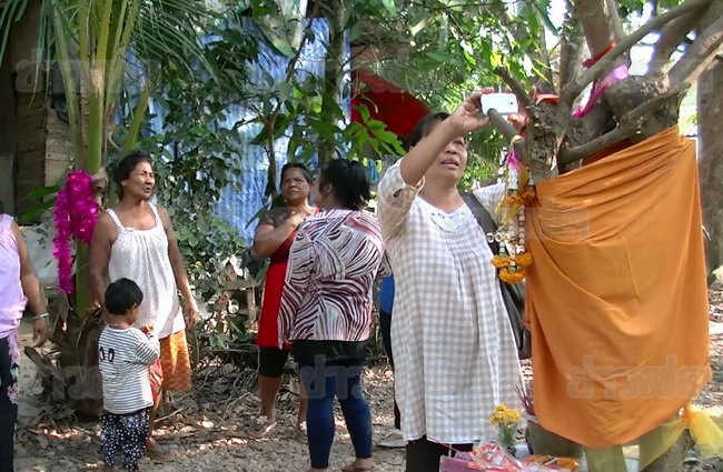 ฮือฮา!! ต้นไม้ปรากฏภาพพระพิมพ์สมเด็จ ชาวบ้านแห่ขอเลขเด็ด