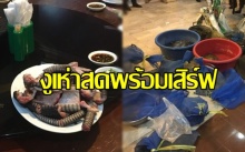 ผงะ! ร้านเปิบพิสดารกลางกรุง เจองูเห่าสดหั่นเป็นปล้อง ตั้งโต๊ะรอเสิร์ฟลูกค้า!