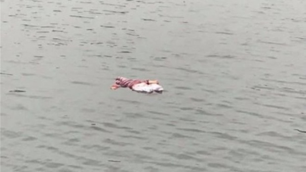 หนุ่มฮีโร่ รีบลงน้ำไปช่วยชีวิตเด็กทารกลอยคอกลางทะเลสาบ แต่เมื่ออุ้มขึ้นมา?