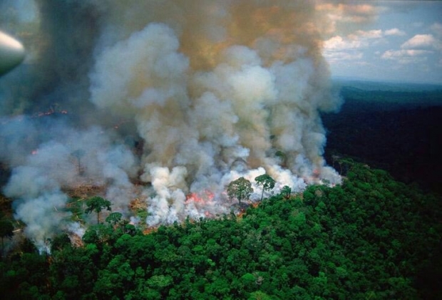 เปิดสาเหตุ ไฟป่าเเอมะซอน ปอดสำคัญของโลกที่กำลังถูกทำลาย