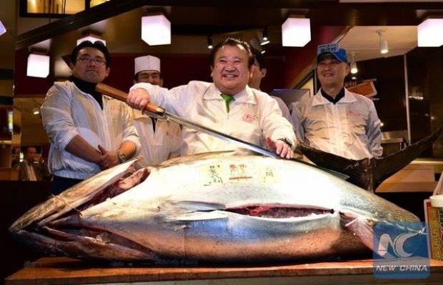 เตรียมอำลา! ตลาดปลาซึกิจิจัดประมูลปีใหม่เป็นครั้งสุดท้าย