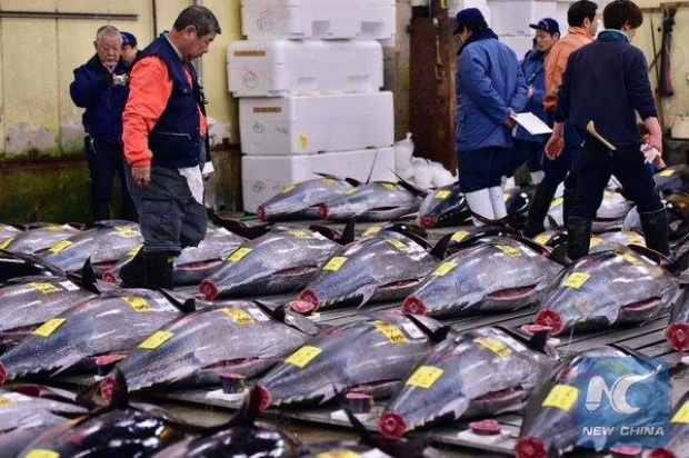 เตรียมอำลา! ตลาดปลาซึกิจิจัดประมูลปีใหม่เป็นครั้งสุดท้าย