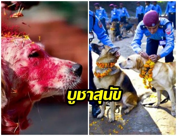 Kukur Tihar เทศกาลน่ารัก ที่มีขึ้นเพื่อบูชาสุนัขในเนปาล