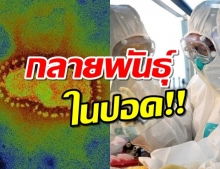 ชันสูตรศพโควิด-19 พบ‘กลายพันธุ์ในปอด-ม้าม-เซลล์หัวใจเสื่อม’