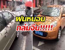 สุดสยอง ปรากฏการณ์ฝนหนอนถล่มมณฑลเหลียวหนิงของจีน