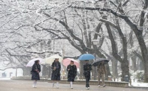 พายุหิมะถล่มญี่ปุ่นระลอก2 ตายอย่างน้อย3 เจ็บเกือบพัน