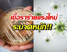 สหรัฐฯ ผวา เชื้อราเกิดขึ้นใหม่ “Candida auris” ระบาดหนัก!!