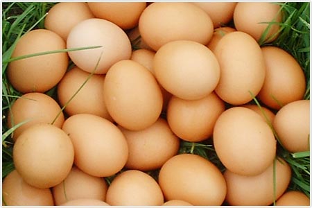 จัดธงฟ้าขายไข่วันละ 2 ล้านฟอง