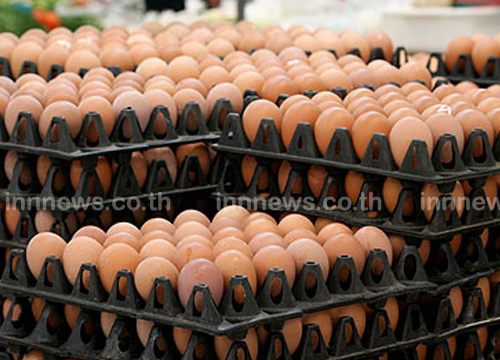 พาณิชย์เผยไข่ไก่ราคาลงแล้วสวนทางกับผัก