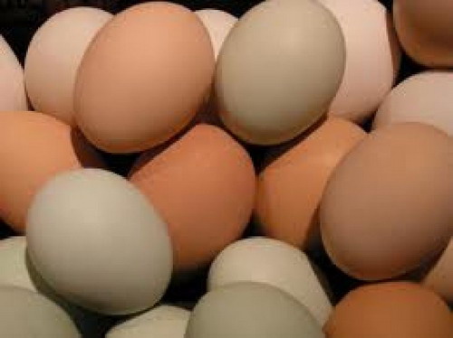 อั้นไม่อยู่ ! ผู้ค้าเตรียมขึ้นราคาไข่ไก่ทุกเบอร์วันนี้ หลังไข่ขาดตลาด-ต้นทุนเพิ่ม