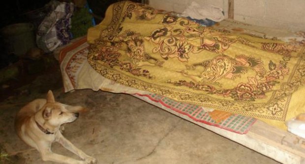 อะโก้สุนัขไทยแสนรู้นอนเฝ้าศพเจ้าของไม่ห่าง