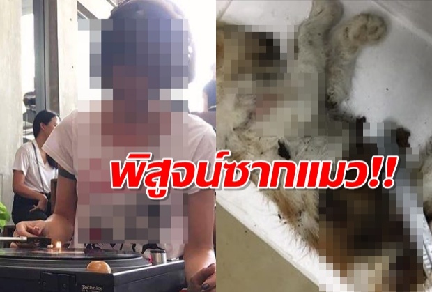 พิสูจน์ซากแมวดีเจสาว-ชัดถูกกระทำทารุณกรรม เจอร่องรอยสุดสยอง!