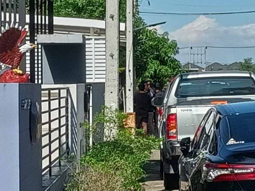 photo credit  : dailynews.