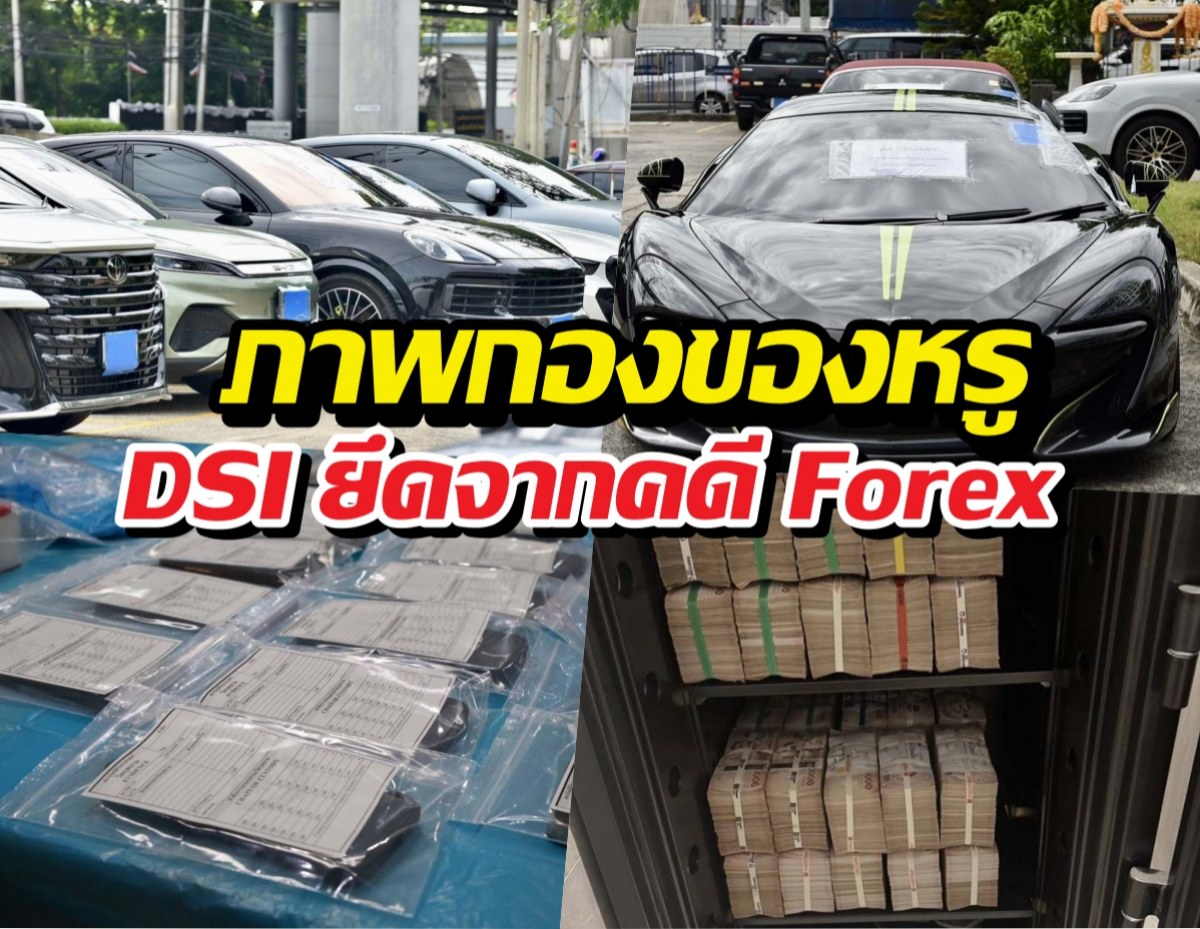 เปิดภาพกองเงินสด รถหรู ฯลฯ DSI ยึดจากคดี Forex