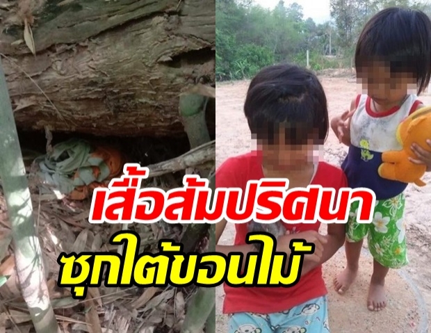 หลักฐานใหม่? พบเสื้อส้มปริศนาซุกใต้ขอนไม้ ปมคดีน้องชมพู่