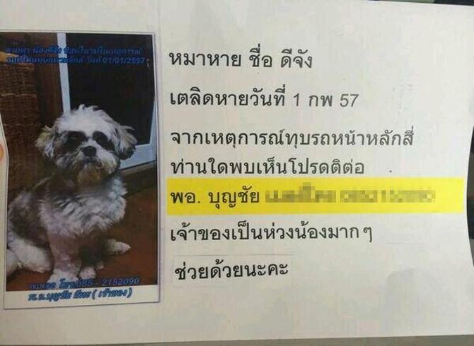 เปิดใจพ.อ.ถูกทุบคัมรี่พังไม่เสียใจเท่าหมาหาย