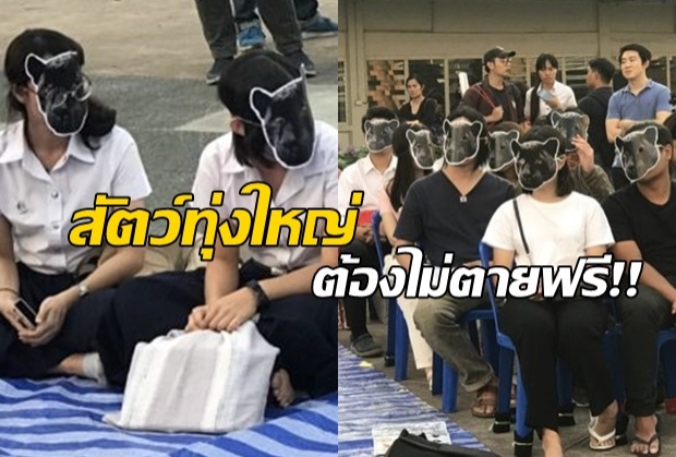 นิสิตจุฬาฯ ใส่หน้ากากเสือดำ เรียกร้องสัตว์ในทุ่งใหญ่ต้องไม่ตายฟรี