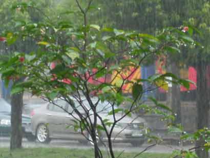 ไคตั๊กอยู่พม่า-ทั่วทุกภาคไทยฝนกระจายกทม.ตกร้อยละ70