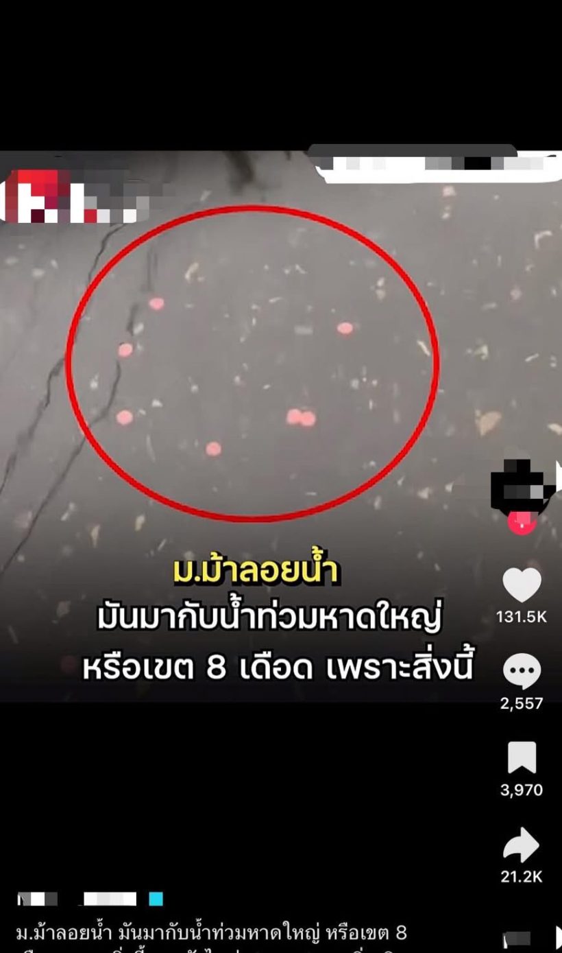 แจงชัดสิ่งที่ลอยน้ำในหาดใหญ่เขต8 คืออะไร?หลังคนเข้าใจว่ายาบ้า