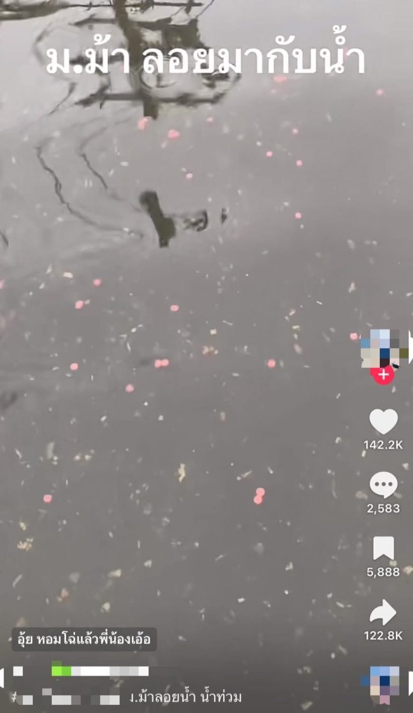 แจงชัดสิ่งที่ลอยน้ำในหาดใหญ่เขต8 คืออะไร?หลังคนเข้าใจว่ายาบ้า