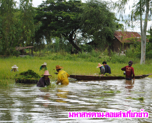 ชมภาพชุดน้ำท่วมกรุง ประเดิมท่วมธูปะเตมีย์