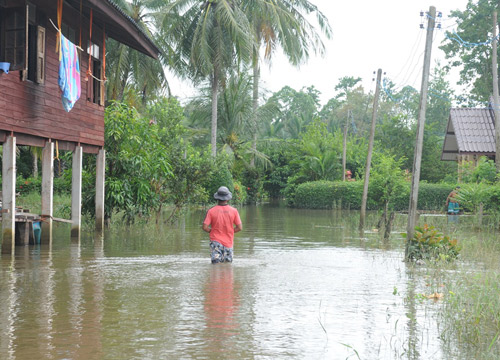 ชาวพัทลุงเดือดร้อนหนักน้ำท่วมขังยังไม่ลด-ฝนตกเพิ่ม