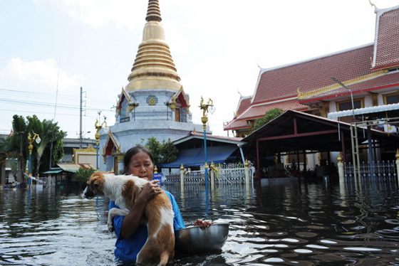 เราจะร่วมฝ่าฟันอุทกภัยไปด้วยกันดอนเมือง-เยาวราช 