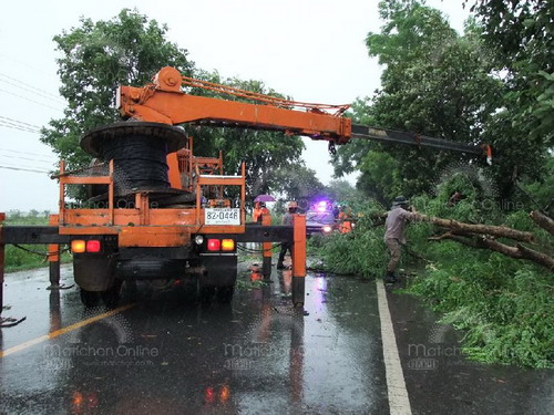 พายุฝนถล่ม ทำต้นไม้ริมทางหลวง เมืองปราจีนฯ โค่น 2 แห่ง 