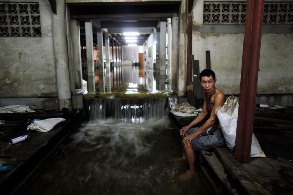 สื่อนอกแพร่ภาพชุด “Thailand Floods Pass Their Peak”