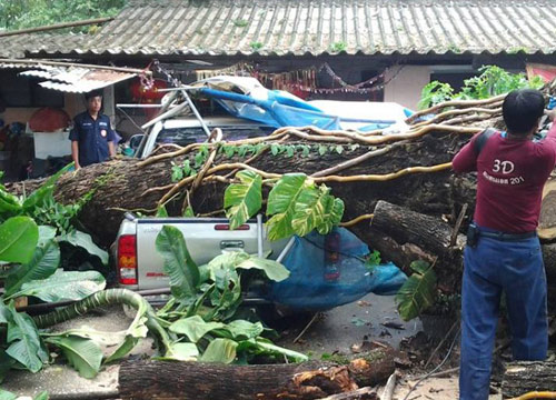 พิษณุโลกพายุลมแรงต้นไม้หักโค่นทับบ้าน