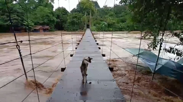 ประกาศปิด 5 แหล่งท่องเที่ยวอุทยานแห่งชาติทุ่งแสลงหลวง ชั่วคราว!