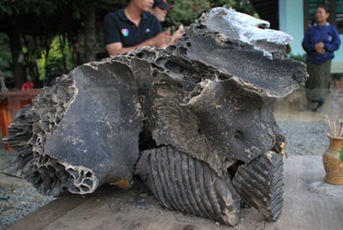 ททท.สุพรรณฯ เตรียมพาสื่อบุกพิสูจน์หัวช้างกลายเป็นหิน 