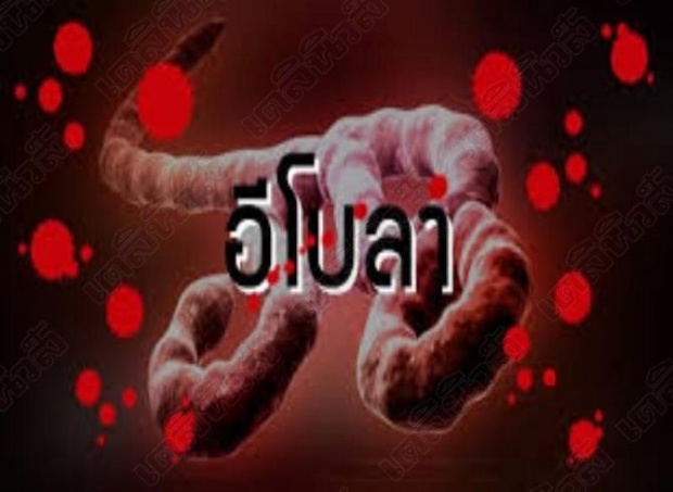 แพทย์ยันข่าวลือ อีโบลาเข้าไทย