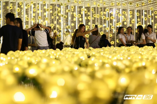 บรรยากาศฟินๆ คู่รัก-วัยรุ่น แชะภาพสุดโรแมนติกคู่ต้นคริสต์มาสสีทอง