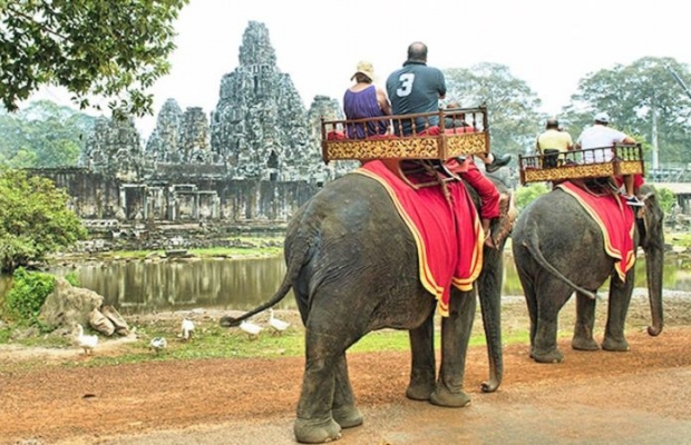 นครวัดลั่นเลิกทัวร์ “ขี่ช้าง” ปีหน้า เตรียมส่ง 14 เชือกใช้แรงงานไปศูนย์อนุรักษ์