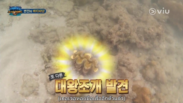 รายการเกาหลี Law of The Jungle ชี้แจงเรื่องร้องเรียน ‘จับหอยมือเสือ’ สัตว์หายากในทะเลไทย