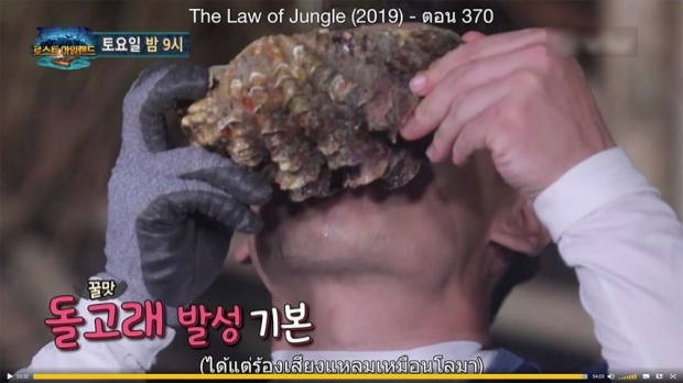 รายการเกาหลี Law of The Jungle ชี้แจงเรื่องร้องเรียน ‘จับหอยมือเสือ’ สัตว์หายากในทะเลไทย