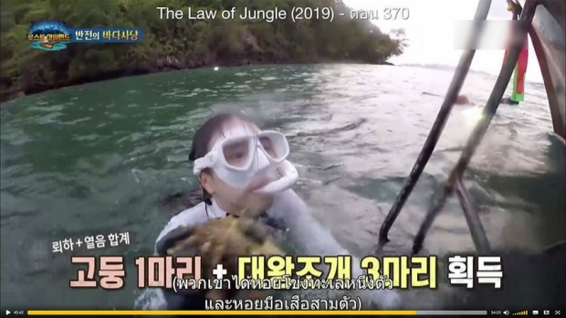 รายการเกาหลี Law of The Jungle ชี้แจงเรื่องร้องเรียน ‘จับหอยมือเสือ’ สัตว์หายากในทะเลไทย