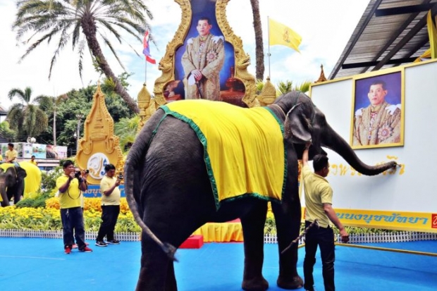 พังน้องหยก ให้งวงฟาดพู่กันเขียน “ทรงพระเจริญ” หน้าพระบรมฉายาลักษณ์ 